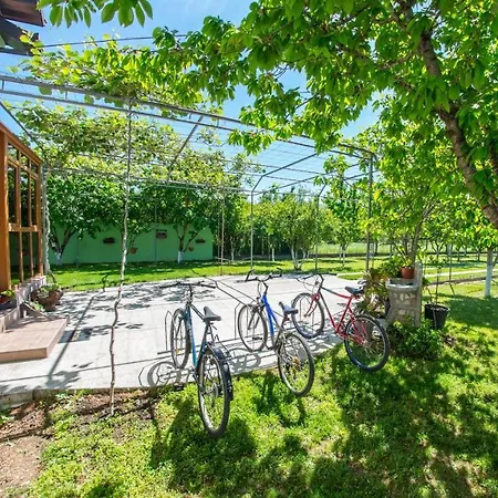 Frida Luxury Beachfront Villa Blagaj